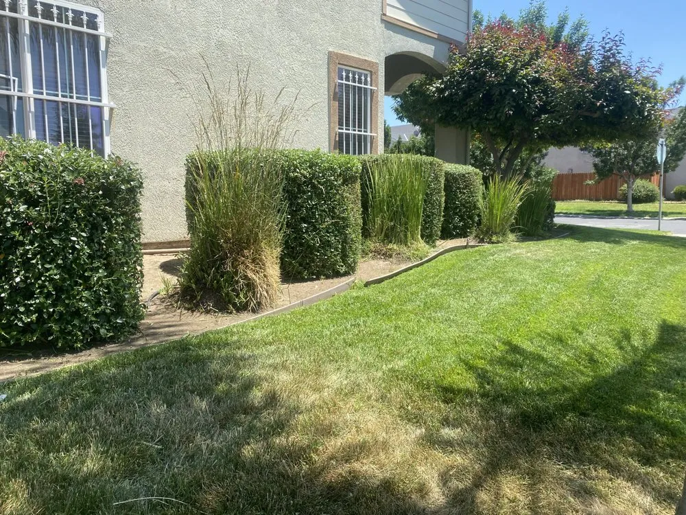 Custom landscaping services in Modesto, CA by The Gardener landscaping