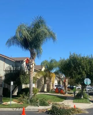 The Gardener landscaping Logo