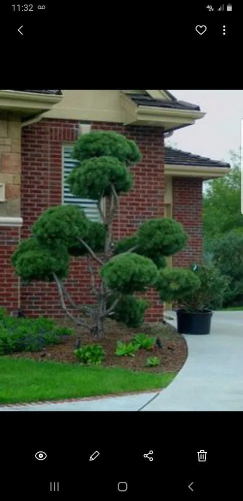 Professional yard cleanup service near you across North Windham, CT - The Gardener Landscaping