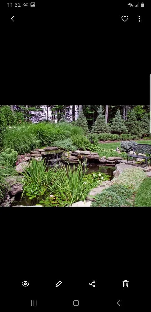 Expert yard cleanup service in North Windham, CT by The Gardener Landscaping