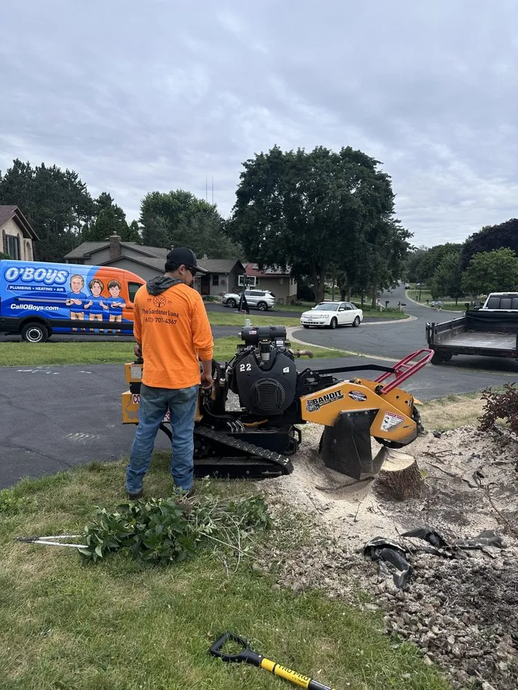 Expert garden landscaping for year-round maintenance across Arden hills, MN - The Gardener Luna