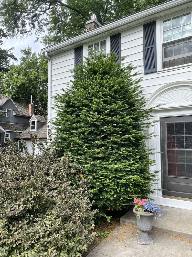 Reliable lawn care service in Arden hills, MN - The Gardener Luna