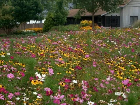 Local landscape design experts serving Columbia, MO - The Gardener Quality Landscape Service