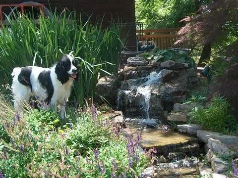 Trusted landscape design near you across Columbia, MO - The Gardener Quality Landscape Service