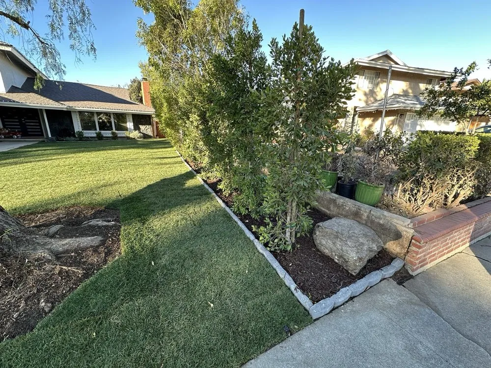 Local landscape installation for outdoor upgrades across Valley Glen, CA - The Gardener