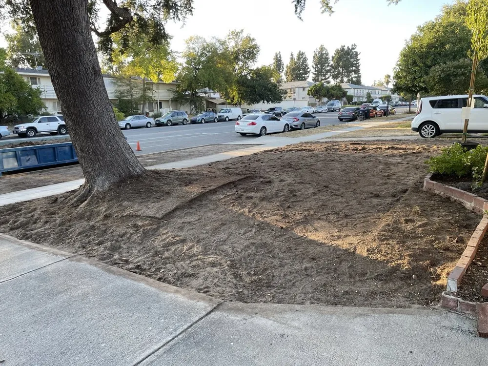 Reliable yard maintenance in Valley Glen, CA by The Gardener