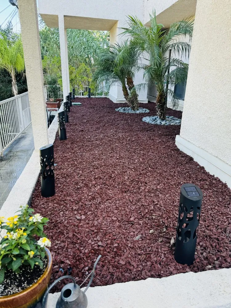 Professional outdoor landscaping near you across Valley Glen, CA - The Gardener
