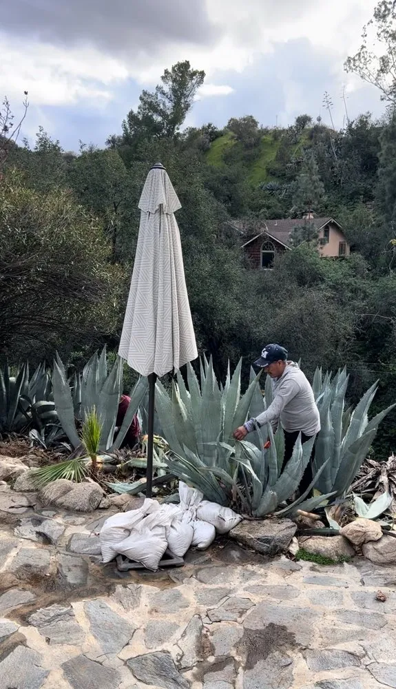 Trusted residential landscaping experts serving Valley Glen, CA - The Gardener