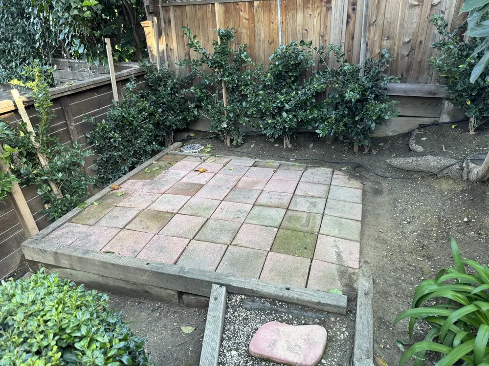 Professional lawn mowing service in Valley Glen, CA - The Gardener