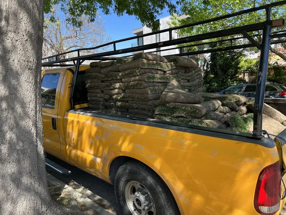 Professional lawn mowing service in Valley Glen, CA - The Gardener