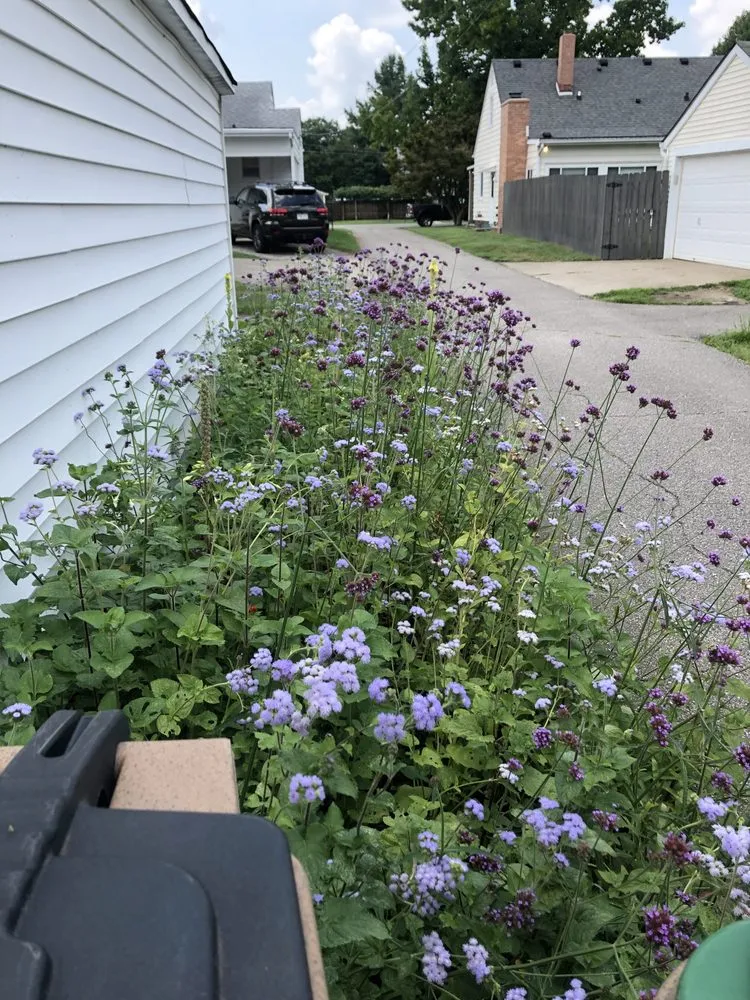 Top-rated garden landscaping for outdoor upgrades across Columbus, IN - The Gardeners Landscape