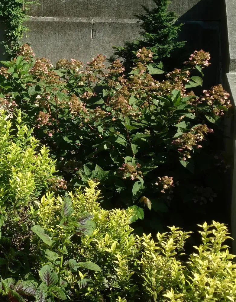 Reliable yard cleanup service experts serving Columbus, IN - The Gardeners Landscape