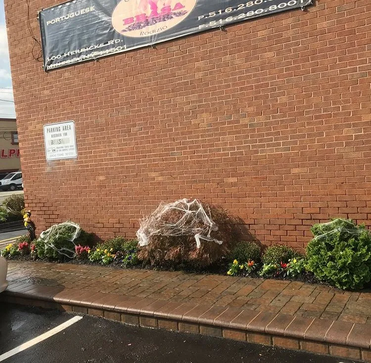 Reliable landscape installation for residential properties across West Hempstead, NY - The Gardeners Market