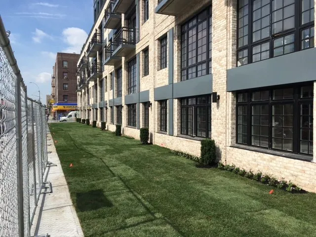 Professional yard maintenance experts serving West Hempstead, NY - The Gardeners Market