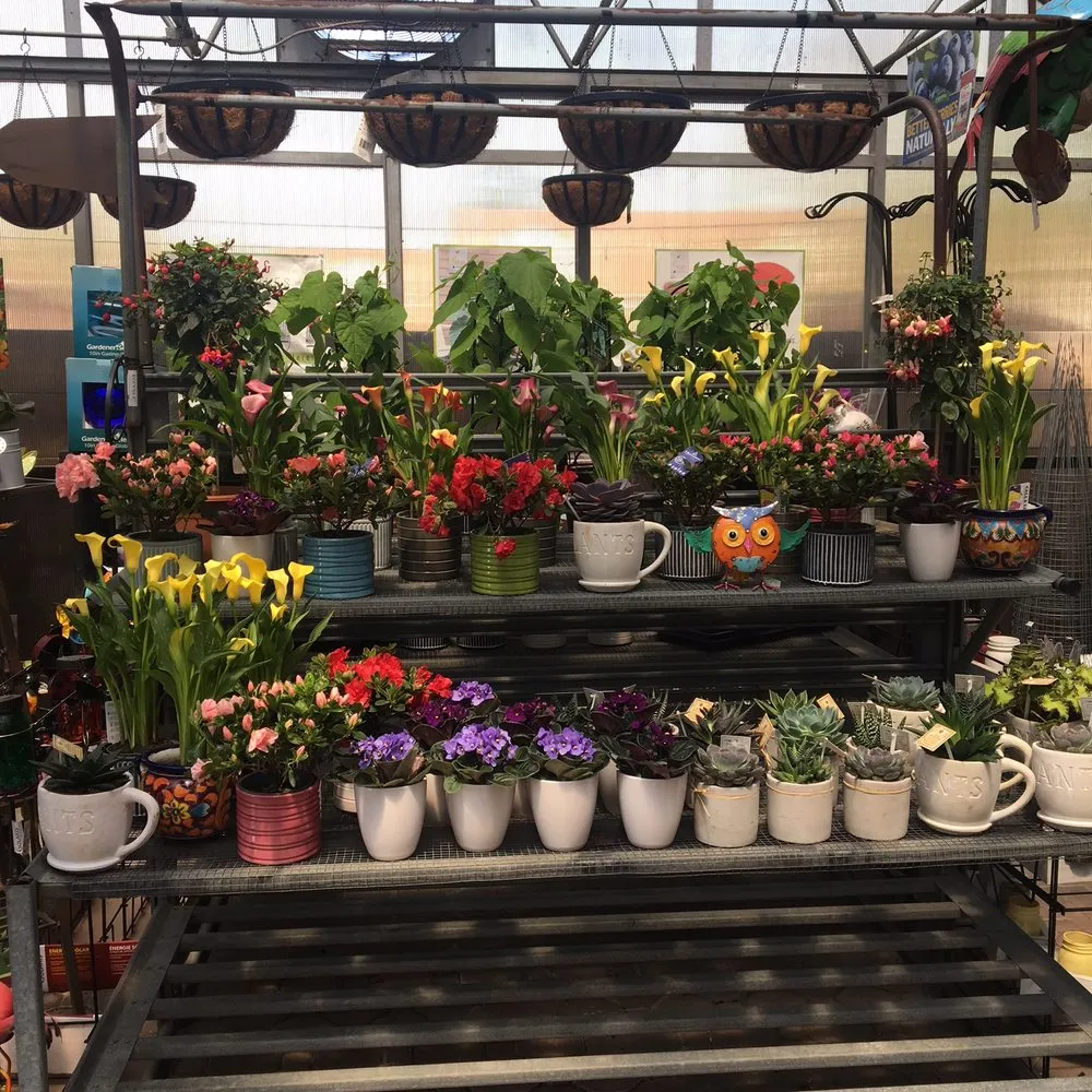 Custom outdoor landscaping for year-round maintenance in West Hempstead, NY by The Gardeners Market