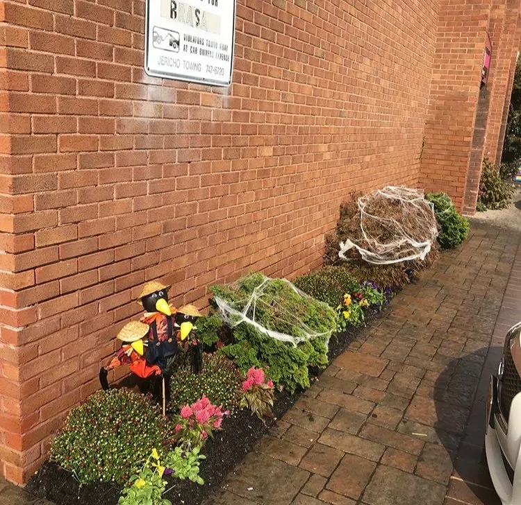 Affordable landscape installation experts serving West Hempstead, NY - The Gardeners Market