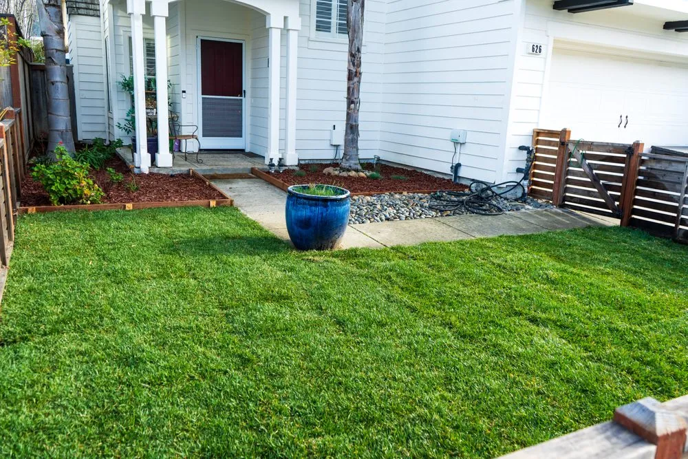 Reliable yard maintenance for beautiful yards in San Jose, CA by The Gardeners
