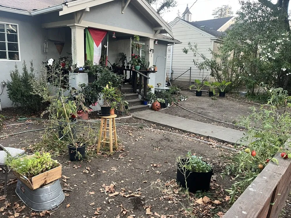 Professional yard cleanup service with custom design across San Jose, CA - The Gardeners