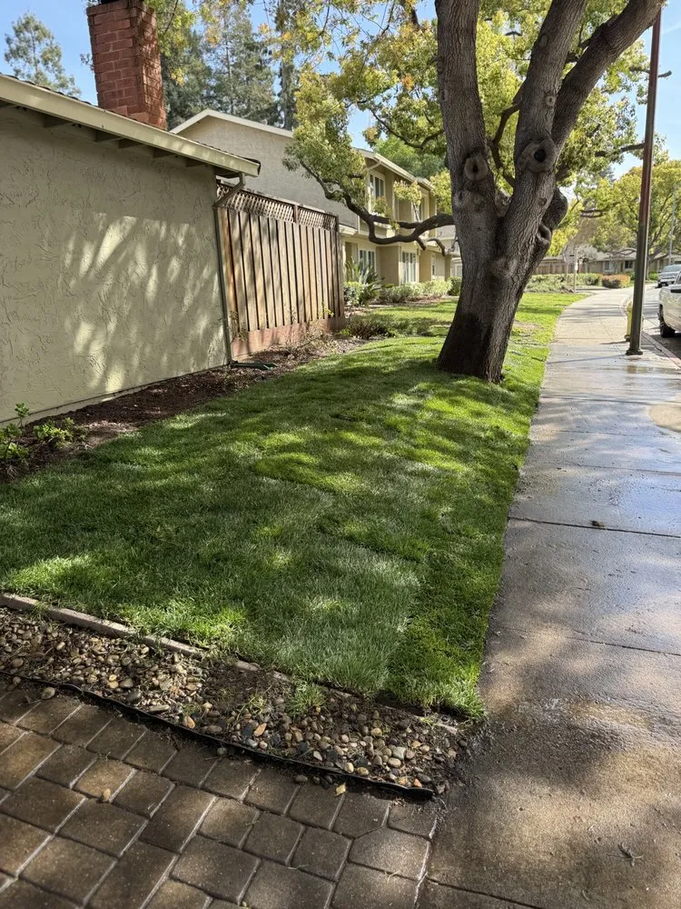 Affordable yard maintenance experts serving San Jose, CA - The Gardeners