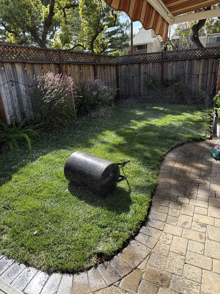 Top-rated yard maintenance experts serving San Jose, CA - The Gardeners