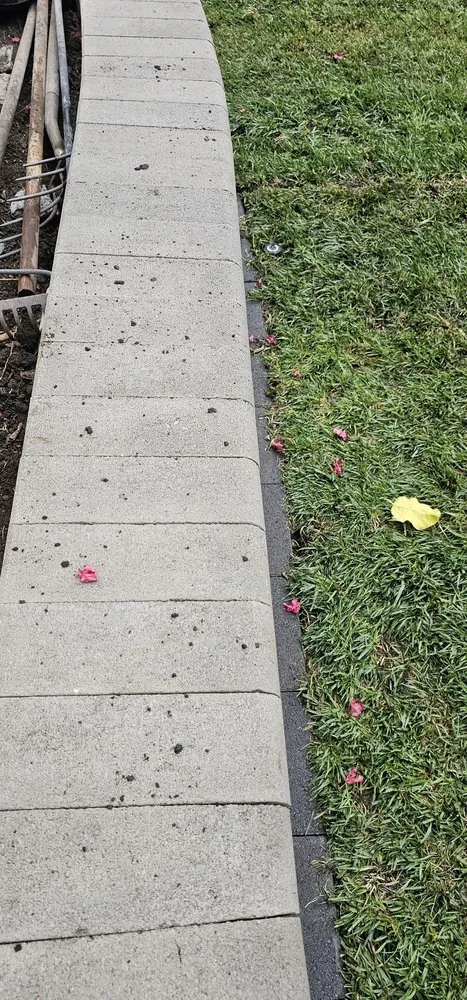 Reliable yard cleanup service near you across San Jose, CA - The Gardeners