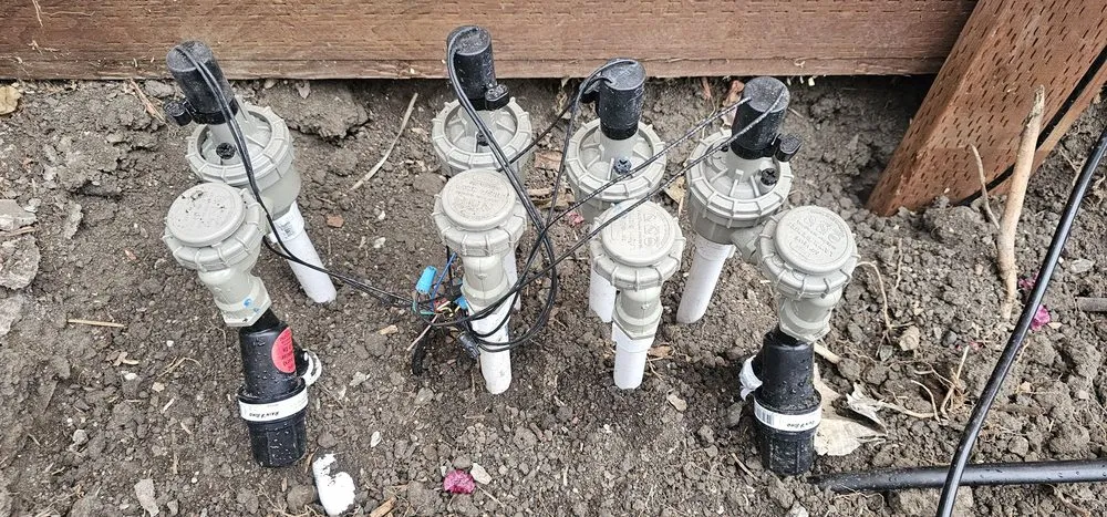 Top-rated landscaping services for beautiful yards across San Jose, CA - The Gardeners