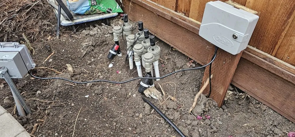 Expert garden landscaping for year-round maintenance across San Jose, CA - The Gardeners