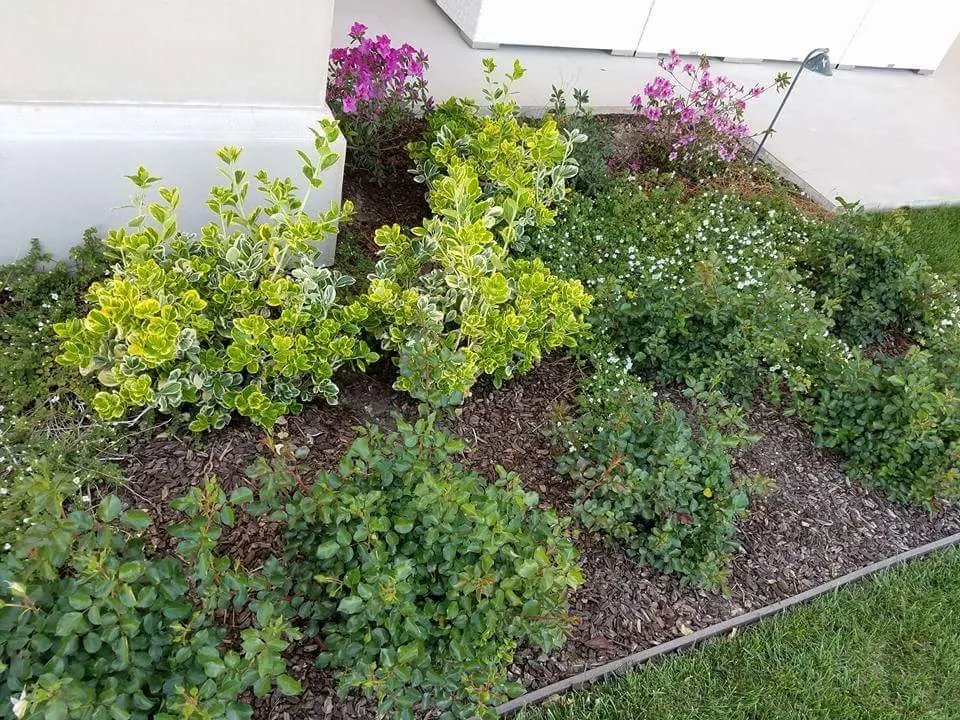 Affordable outdoor landscaping experts serving Simi Valley, CA - The Gardener's Service & Landscaping