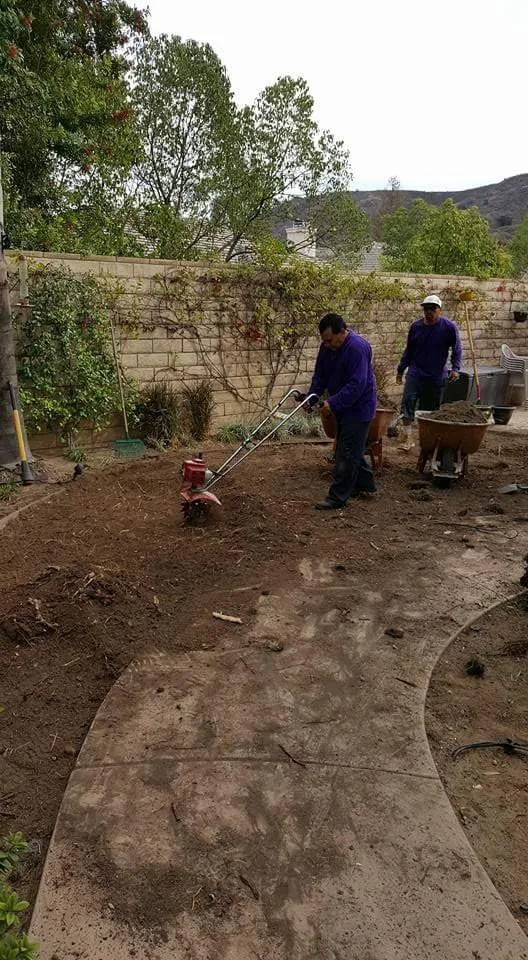 Affordable yard maintenance in Simi Valley, CA - The Gardener's Service & Landscaping