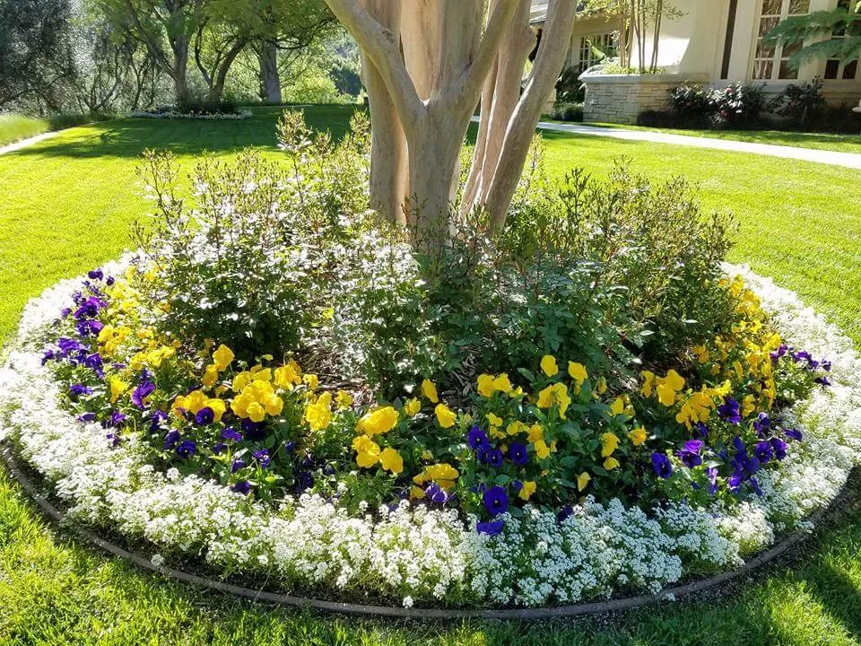 Local residential landscaping for beautiful yards across Simi Valley, CA - The Gardener's Service & Landscaping