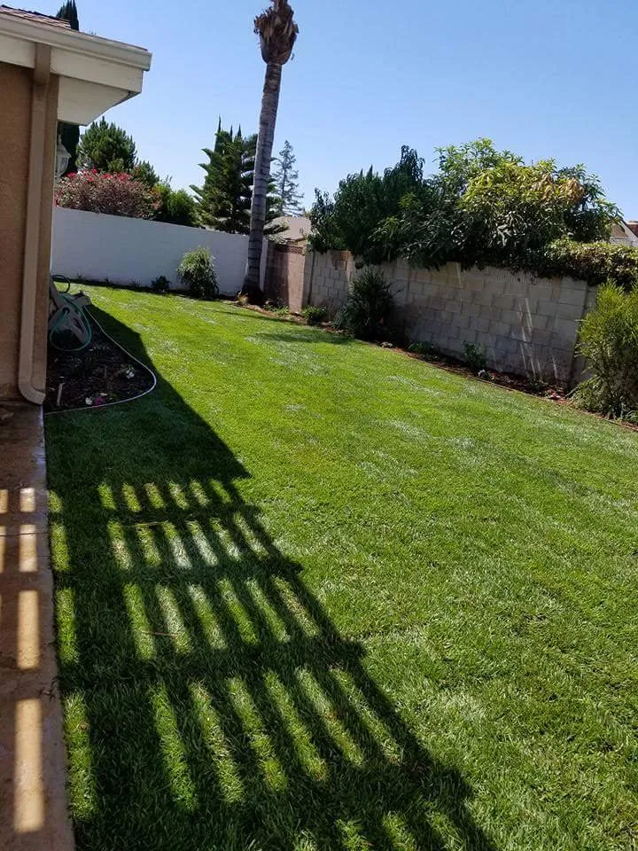 Custom lawn care service in Simi Valley, CA - The Gardener's Service & Landscaping