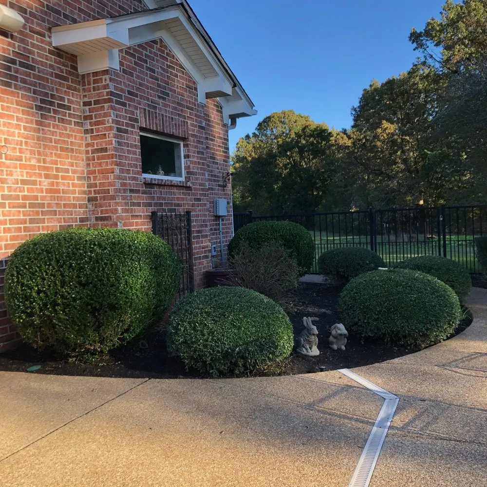 Custom landscape design experts serving Byhalia, MS - The Gardener's Shadow