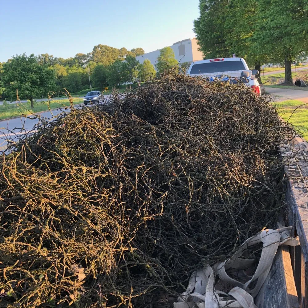 Professional outdoor landscaping for year-round maintenance in Byhalia, MS by The Gardener's Shadow