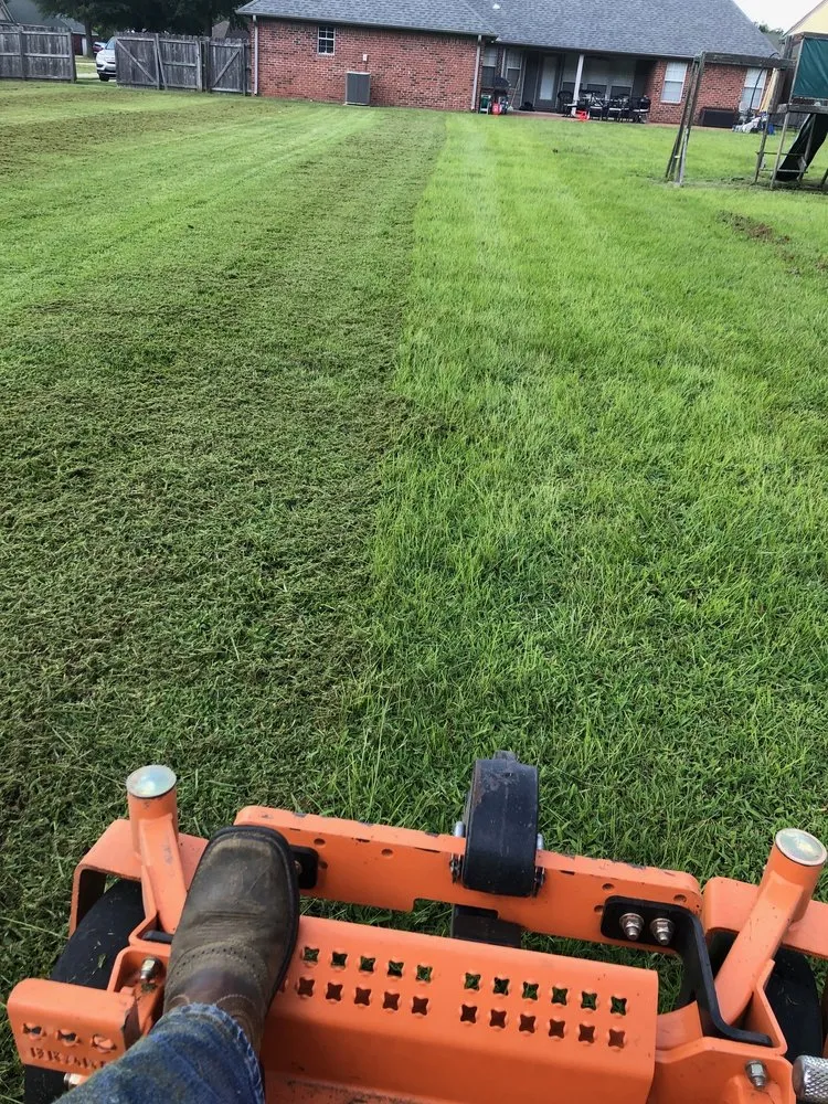 Top-rated landscaping services in Byhalia, MS by The Gardener's Shadow