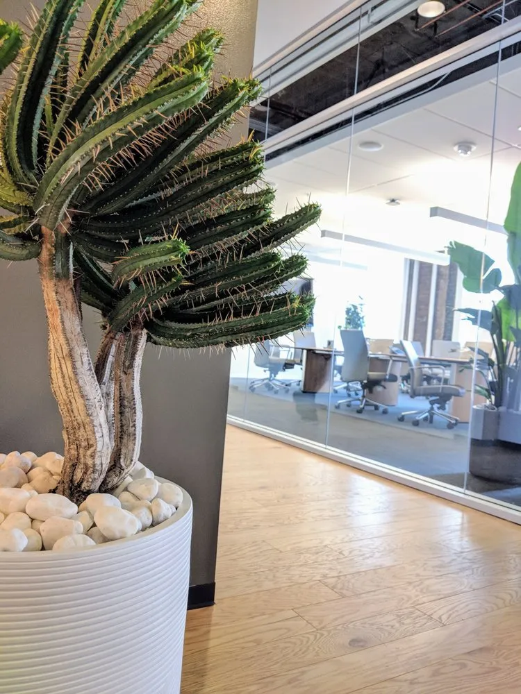 Custom landscape installation in San Francisco, CA by The Gardenista