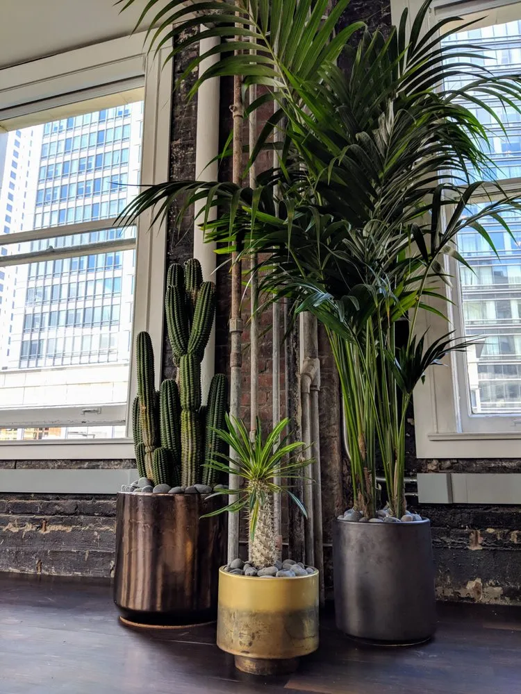 Professional outdoor landscaping in San Francisco, CA - The Gardenista