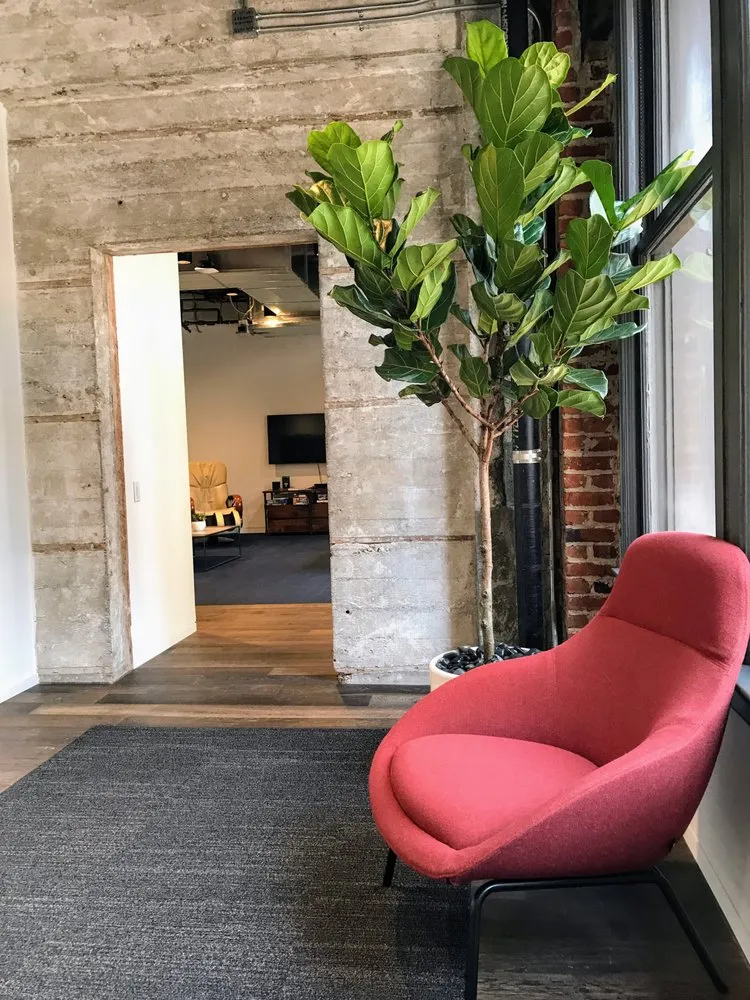 Custom outdoor landscaping in San Francisco, CA by The Gardenista