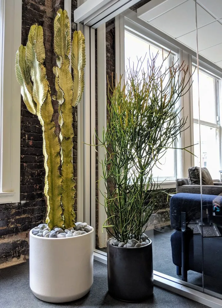 Trusted yard maintenance in San Francisco, CA - The Gardenista