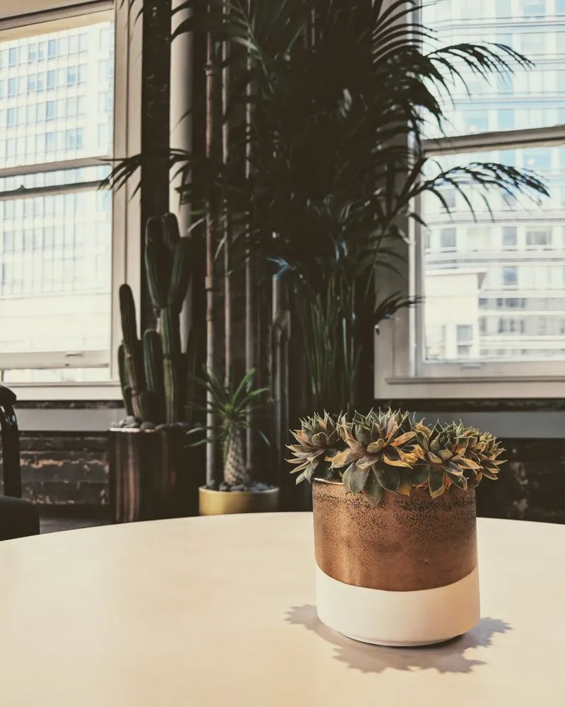 Top-rated garden landscaping for residential properties in San Francisco, CA by The Gardenista