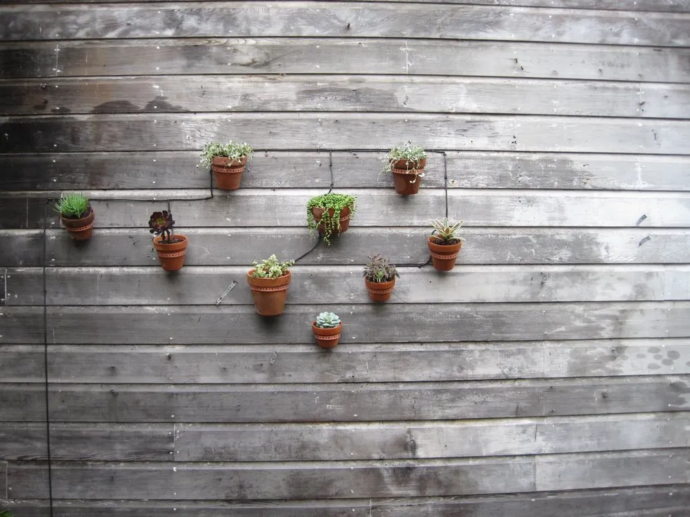 Local landscaping services near you across San Francisco, CA - The Gardenista