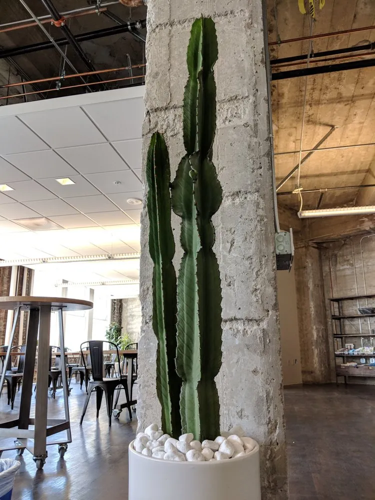 Local yard cleanup service in San Francisco, CA by The Gardenista