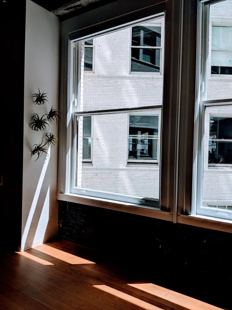 Affordable yard maintenance in San Francisco, CA by The Gardenista