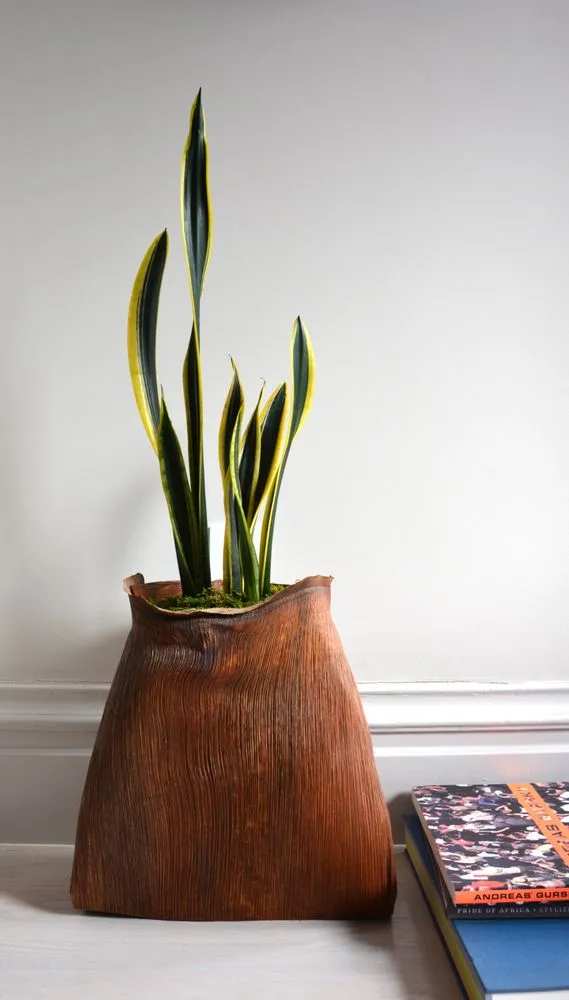 Trusted lawn care service for year-round maintenance across San Francisco, CA - The Gardenista