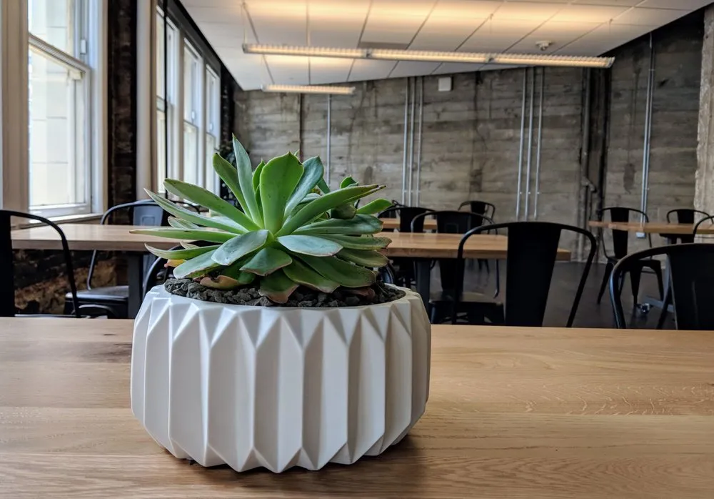 Professional residential landscaping experts serving San Francisco, CA - The Gardenista