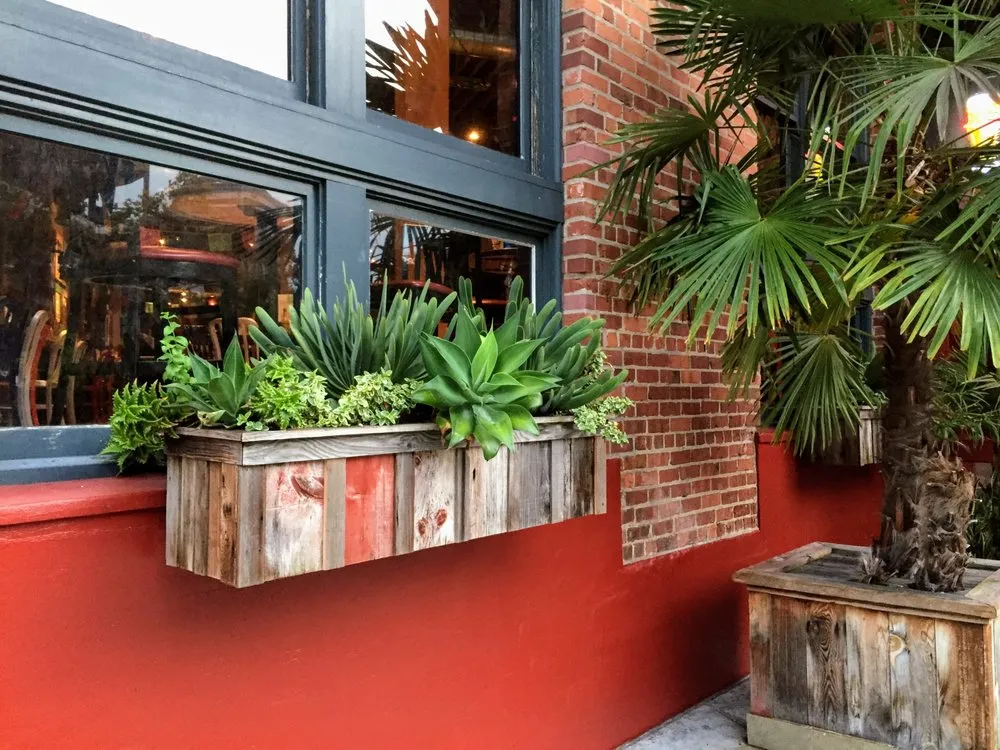 Top-rated outdoor landscaping experts serving San Francisco, CA - The Gardenista