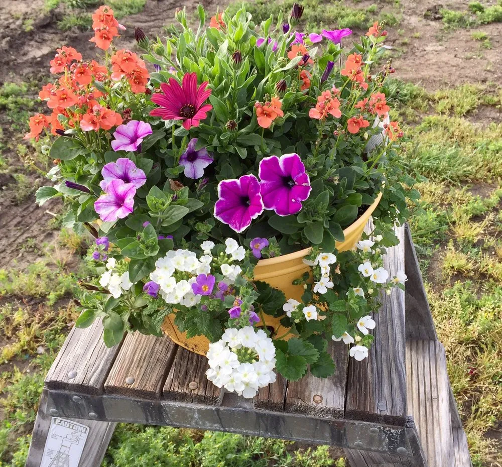 Local lawn mowing service experts serving Hollister, CA - The GardenMart