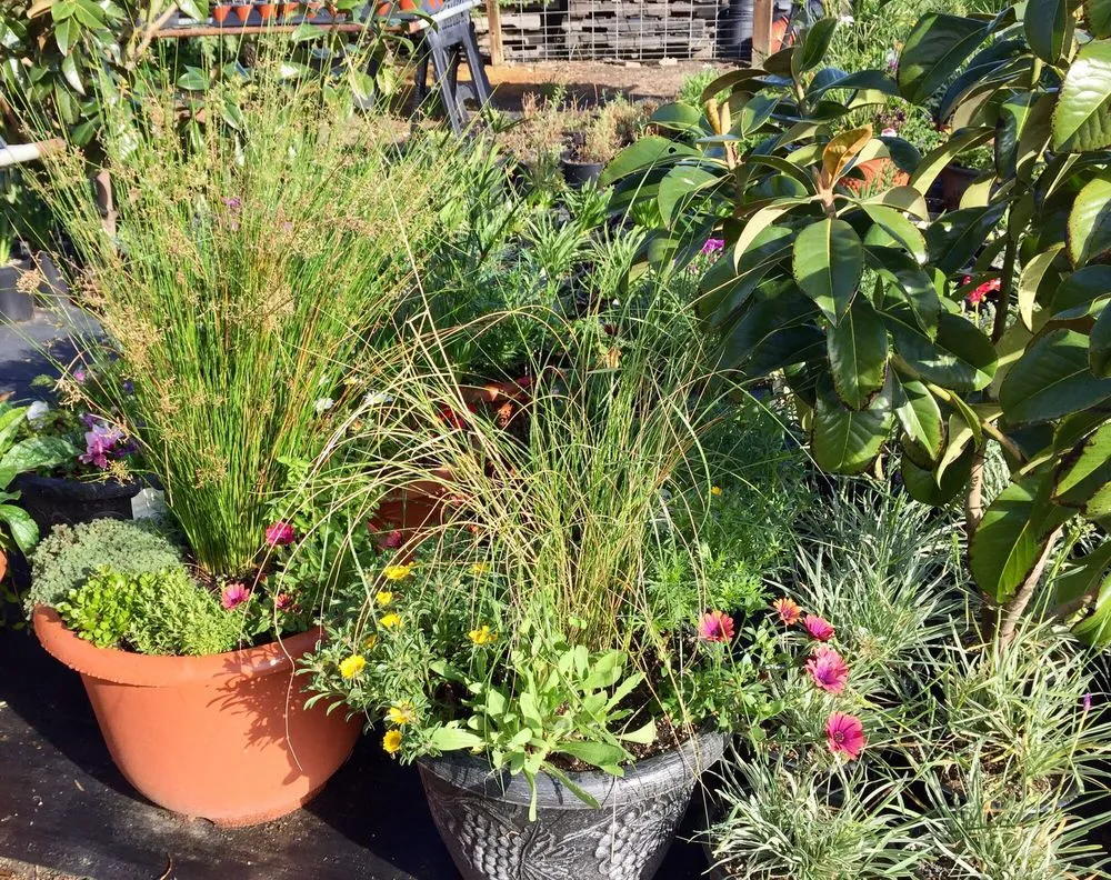 Trusted residential landscaping in Hollister, CA - The GardenMart