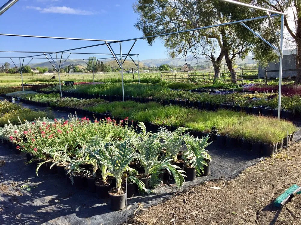 Local outdoor landscaping in Hollister, CA by The GardenMart