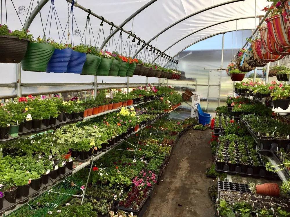 Reliable yard cleanup service experts serving Hollister, CA - The GardenMart