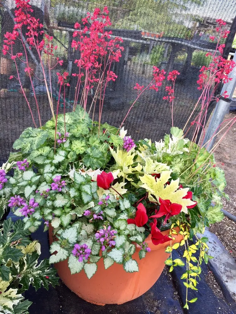 Reliable landscaping services in Hollister, CA by The GardenMart